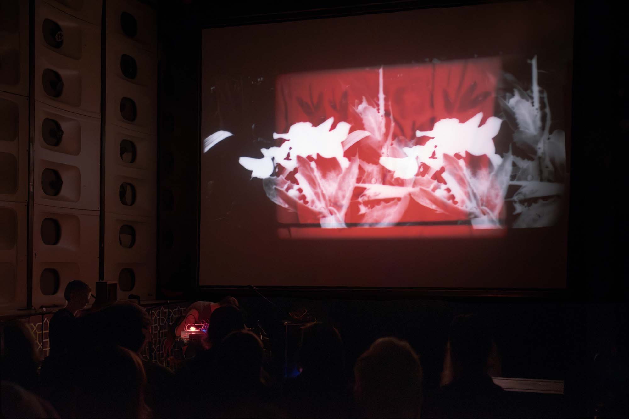 Sunday, expanded-cinema performance, 2025