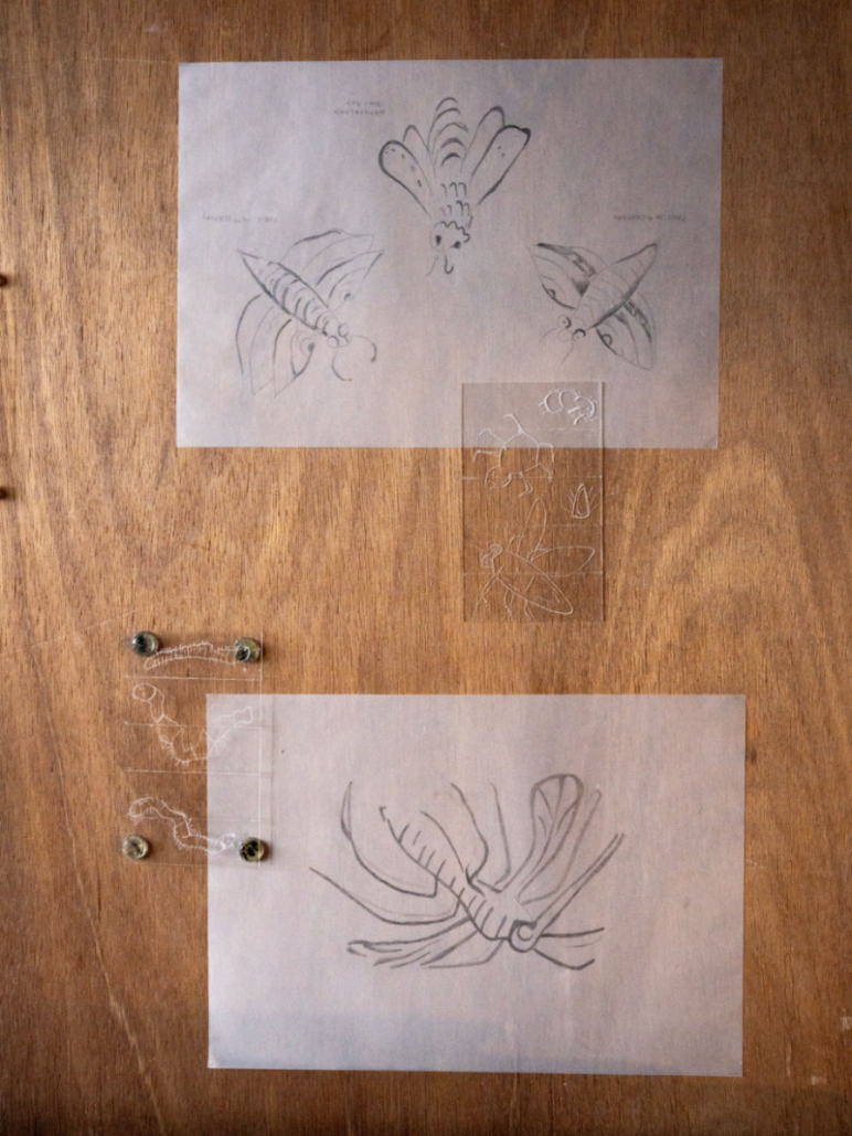 Contemporary Bestiary