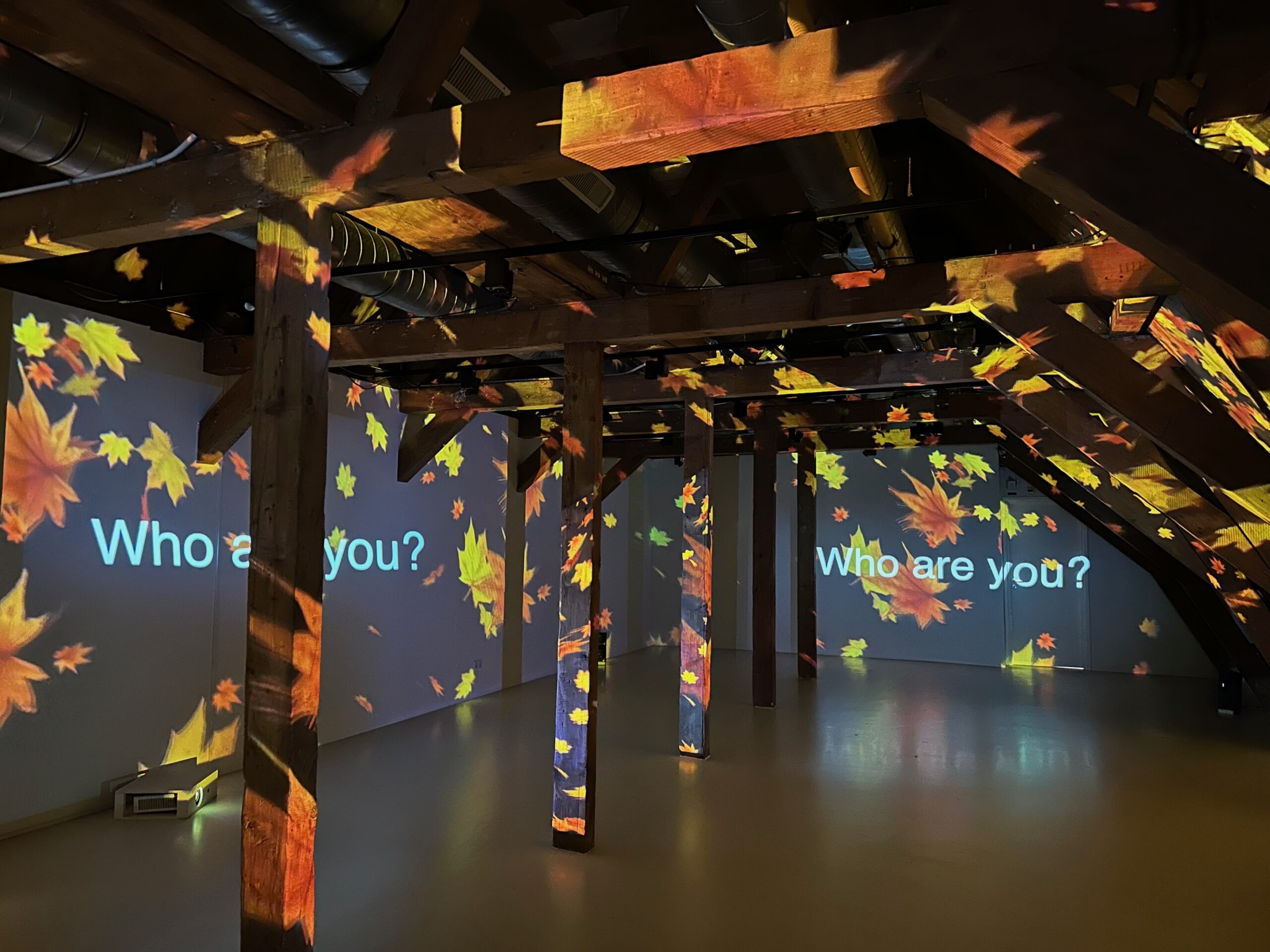 Reflections on a virtual nature - Stedelijk Museum Schiedam