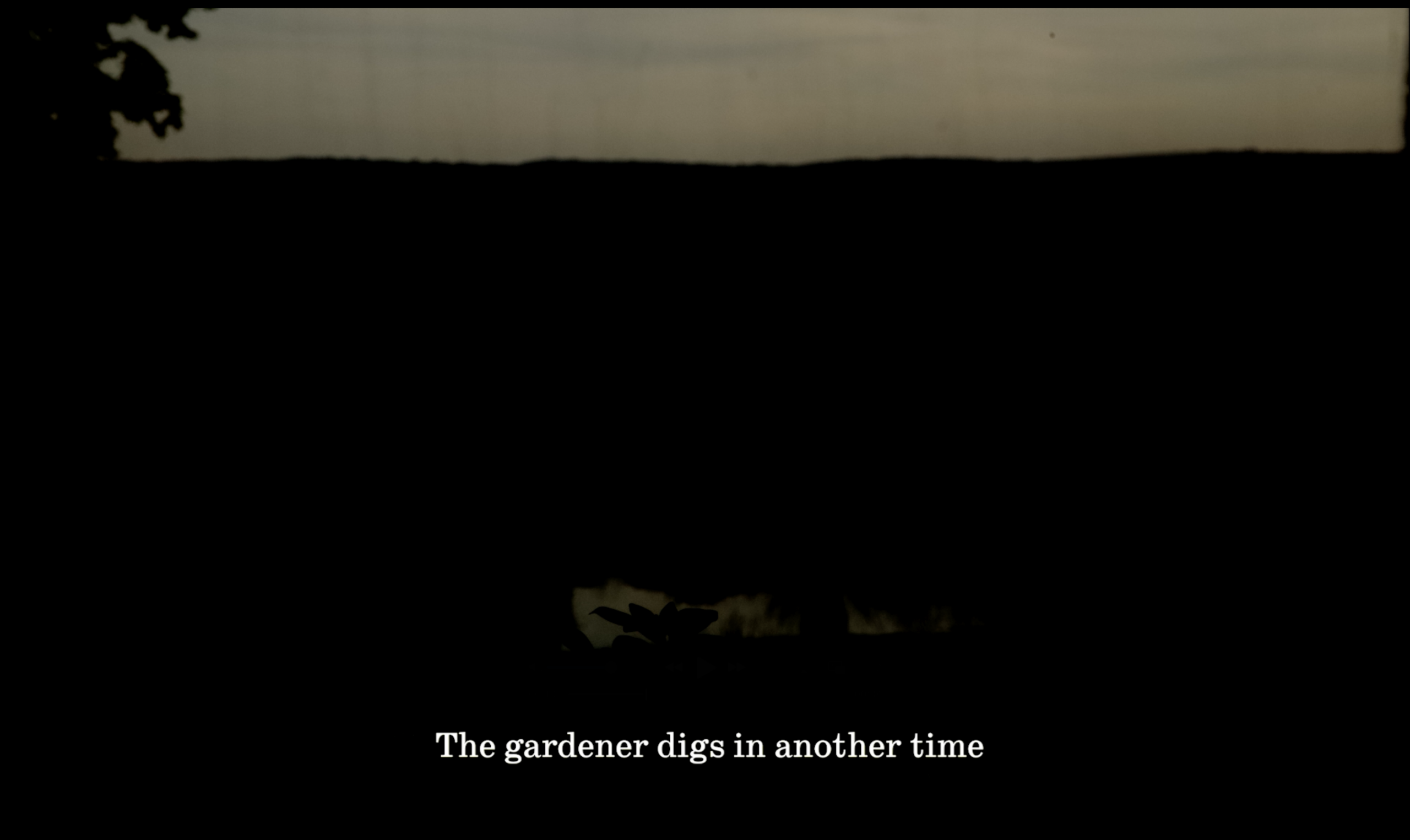 Garden