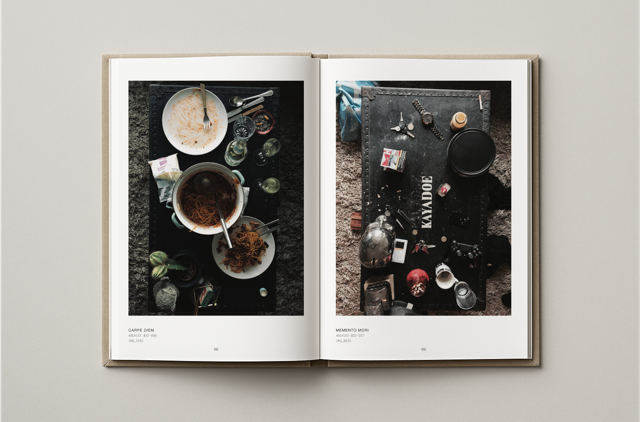 SEASONS - De dagboeken van de twintiger