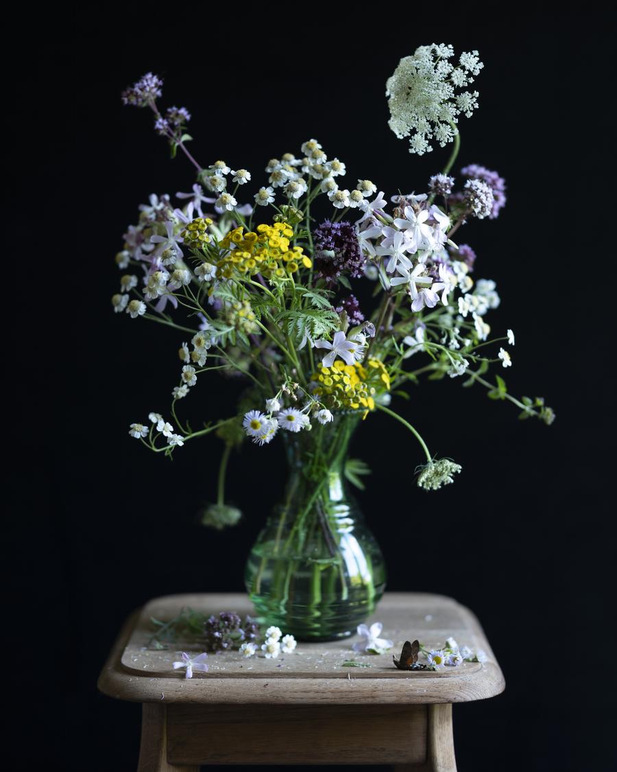 Unstill life (2024-2025)