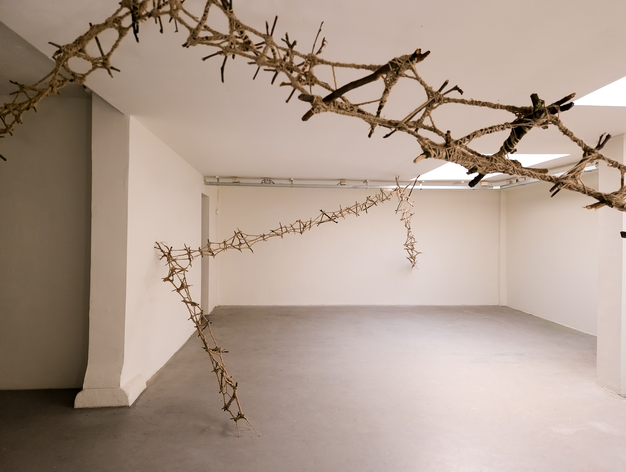 Carte Blanche take over of Gallery Frank Taal