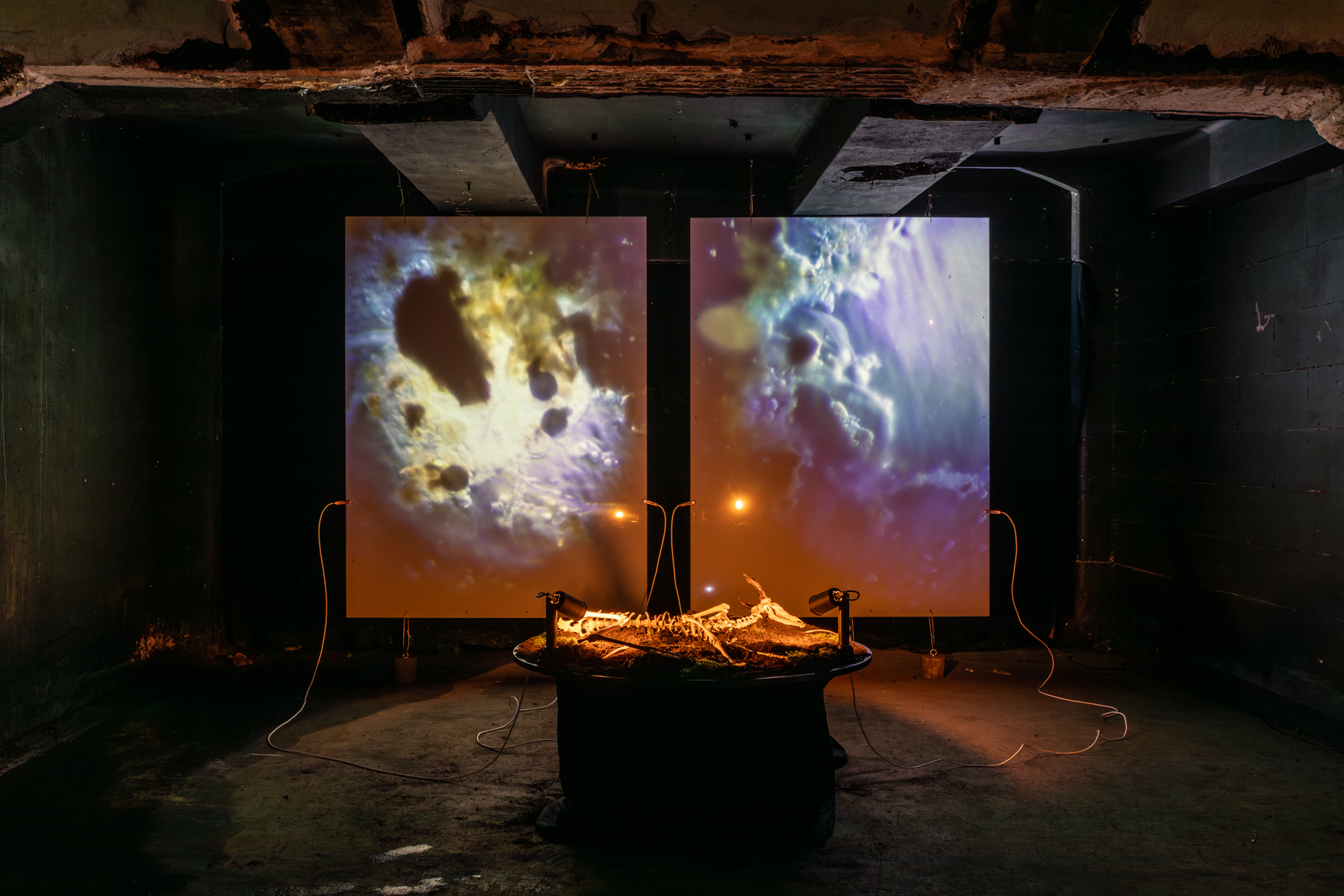 Necrosonic Landscapes