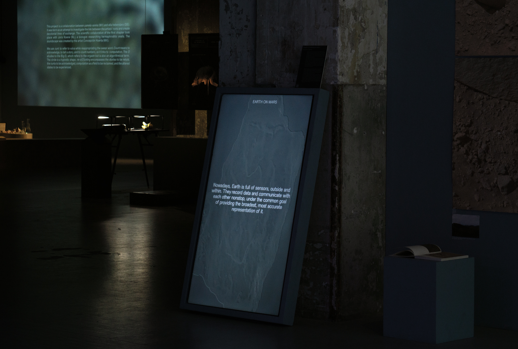 Caught In Listening To Rocks (2023-2024), multimedia installation