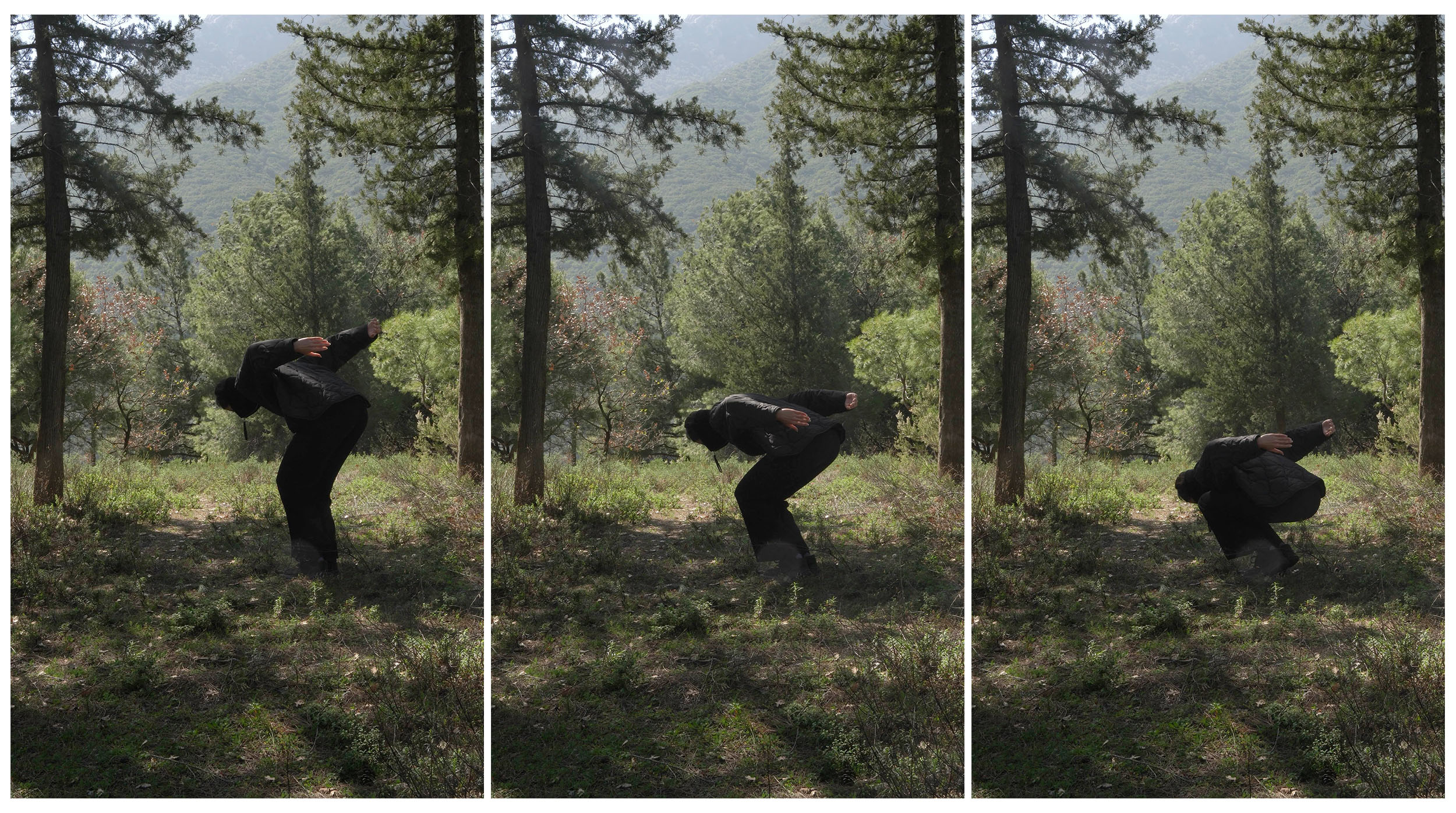 Chronophotography studies