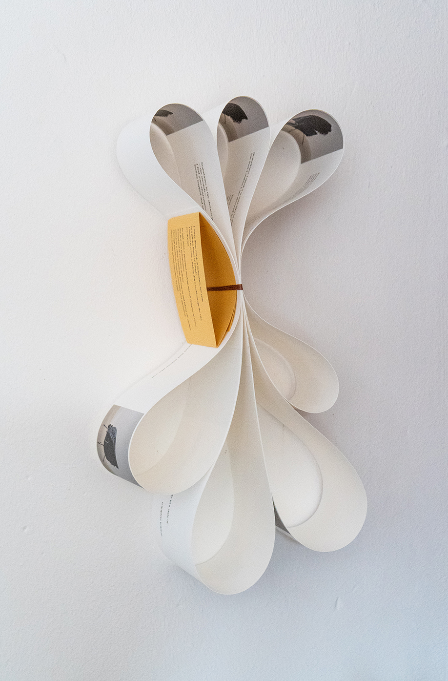 Not Your Typical Publication