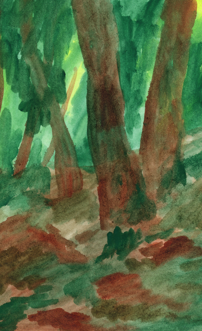 Eyes to wander