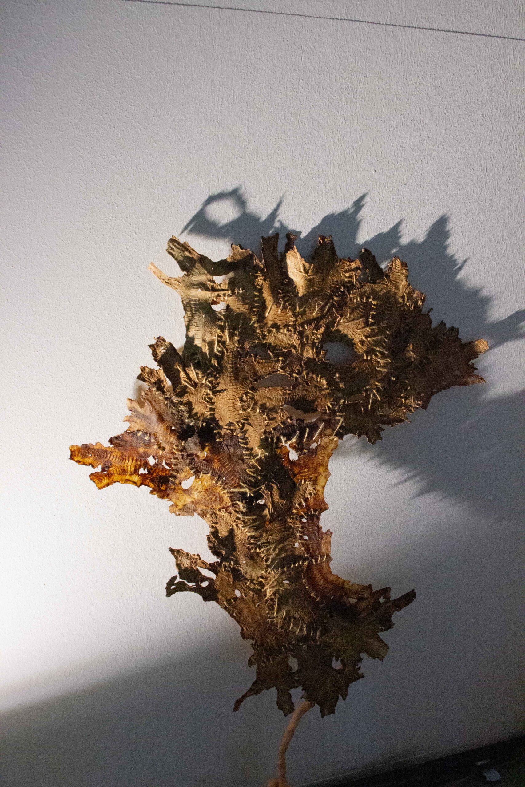 Chickenskin 2024// Material Research