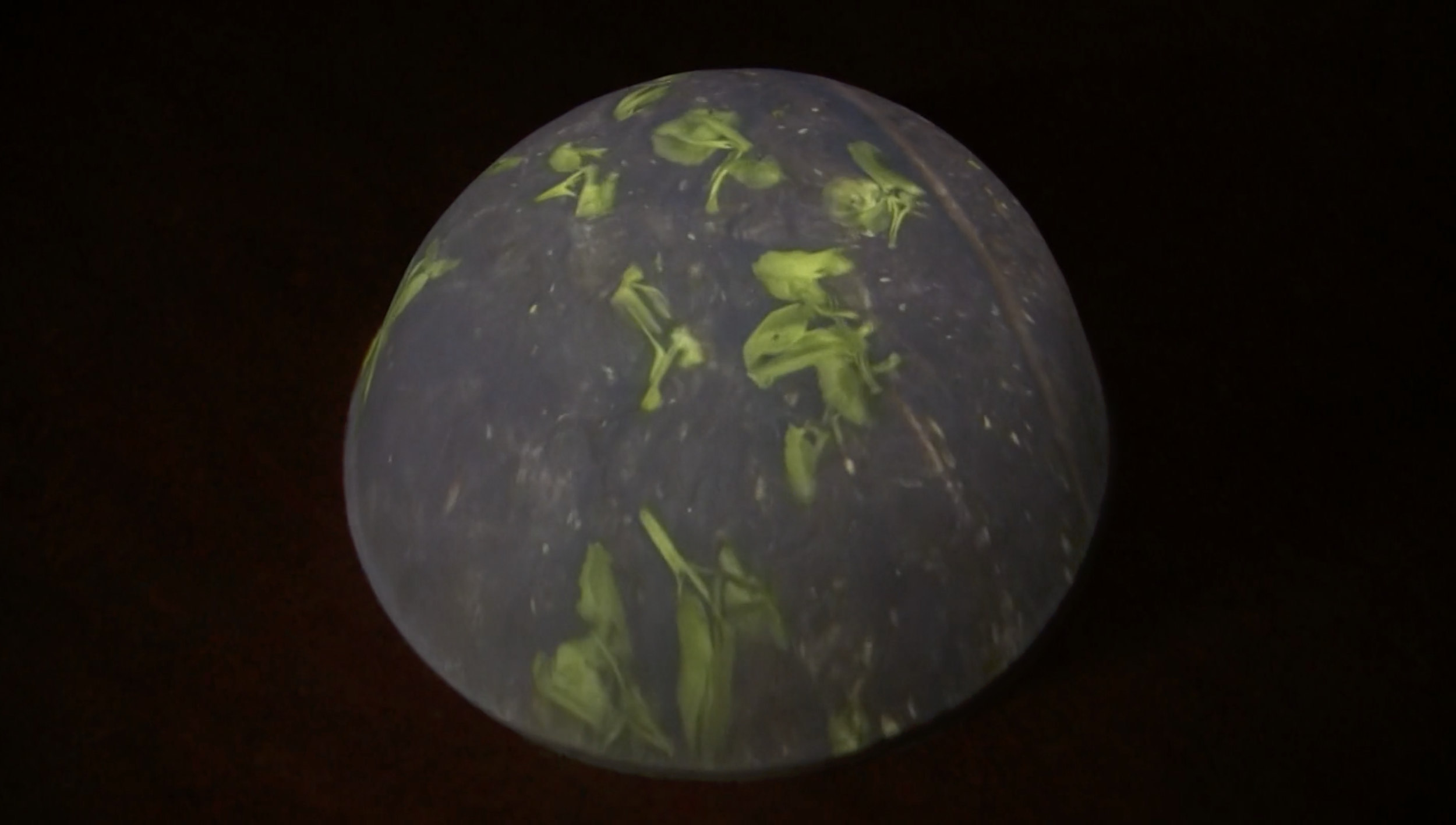 A New Earth