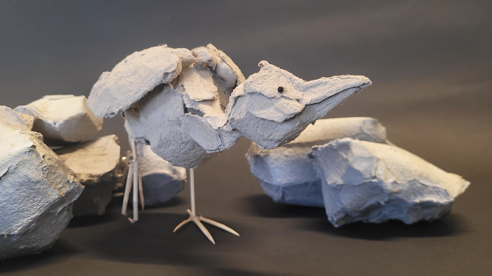 Mitty - Ruimtelijke schets van een meerkoet