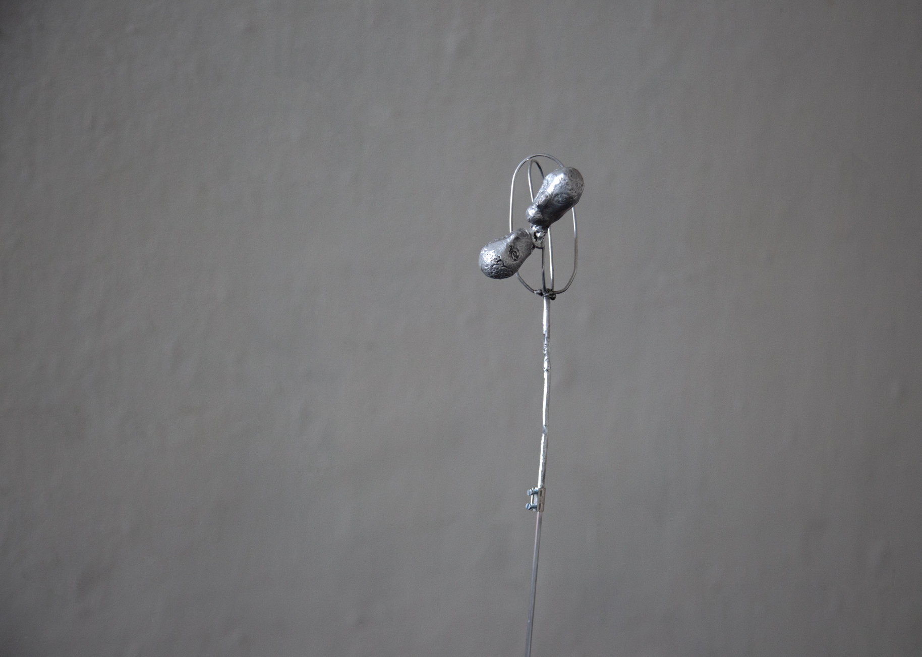 A whisk with two heads