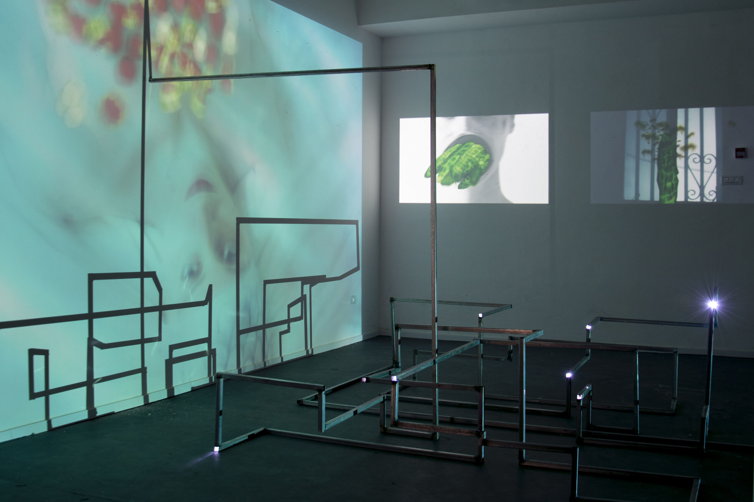 Crocodiled Cucumbers