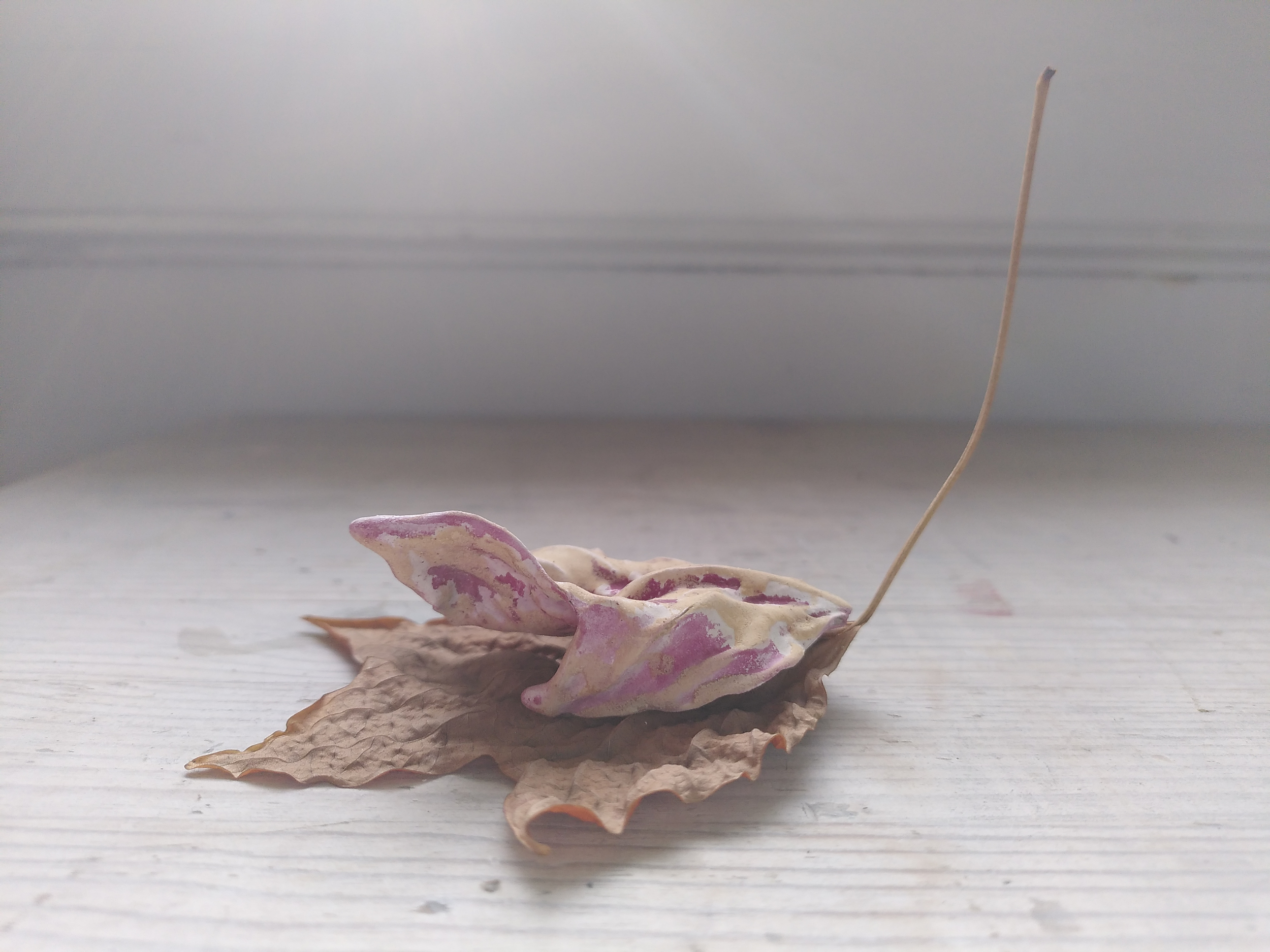 Fallen leaf # 15