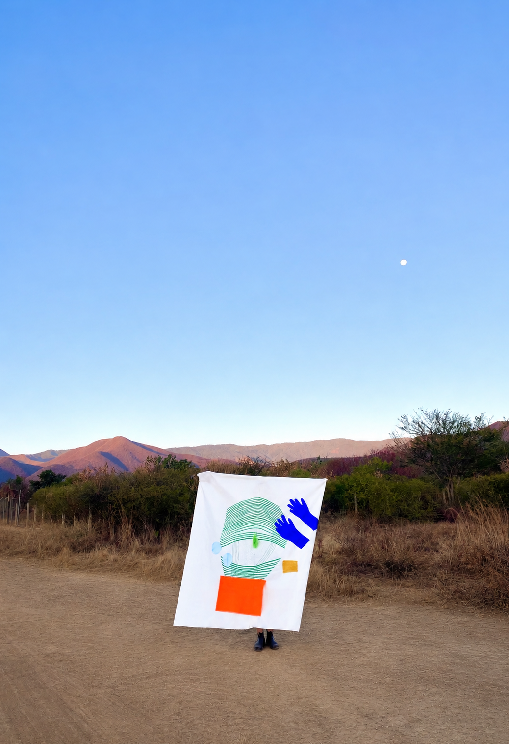 Mexico Residency Process