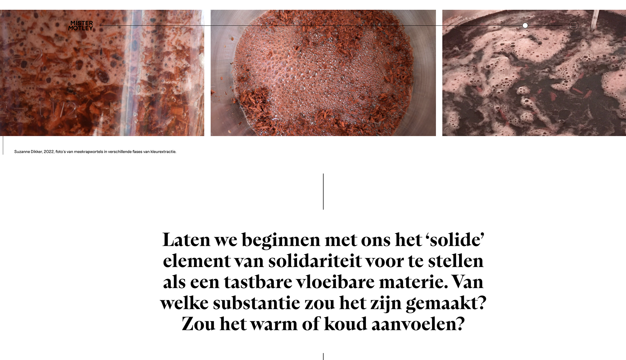 Klotsende, spetterende, kolkende solidariteit (2024)