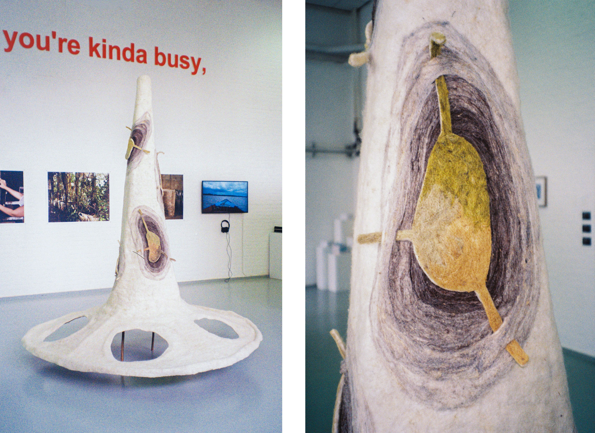 Satellite of Love, 2025