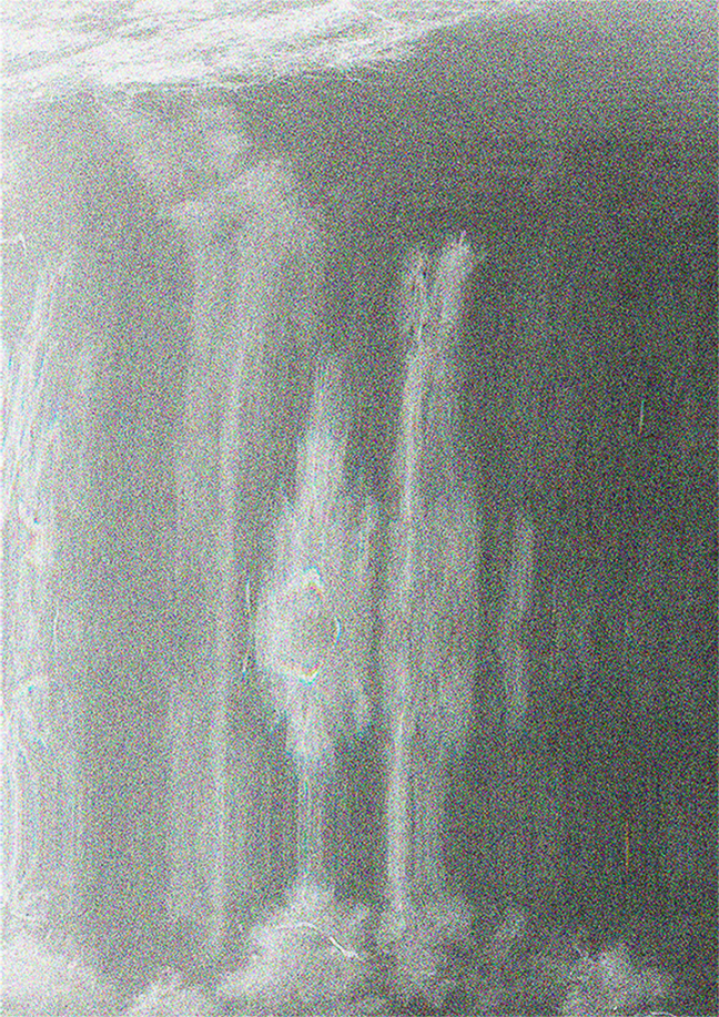 Cascade