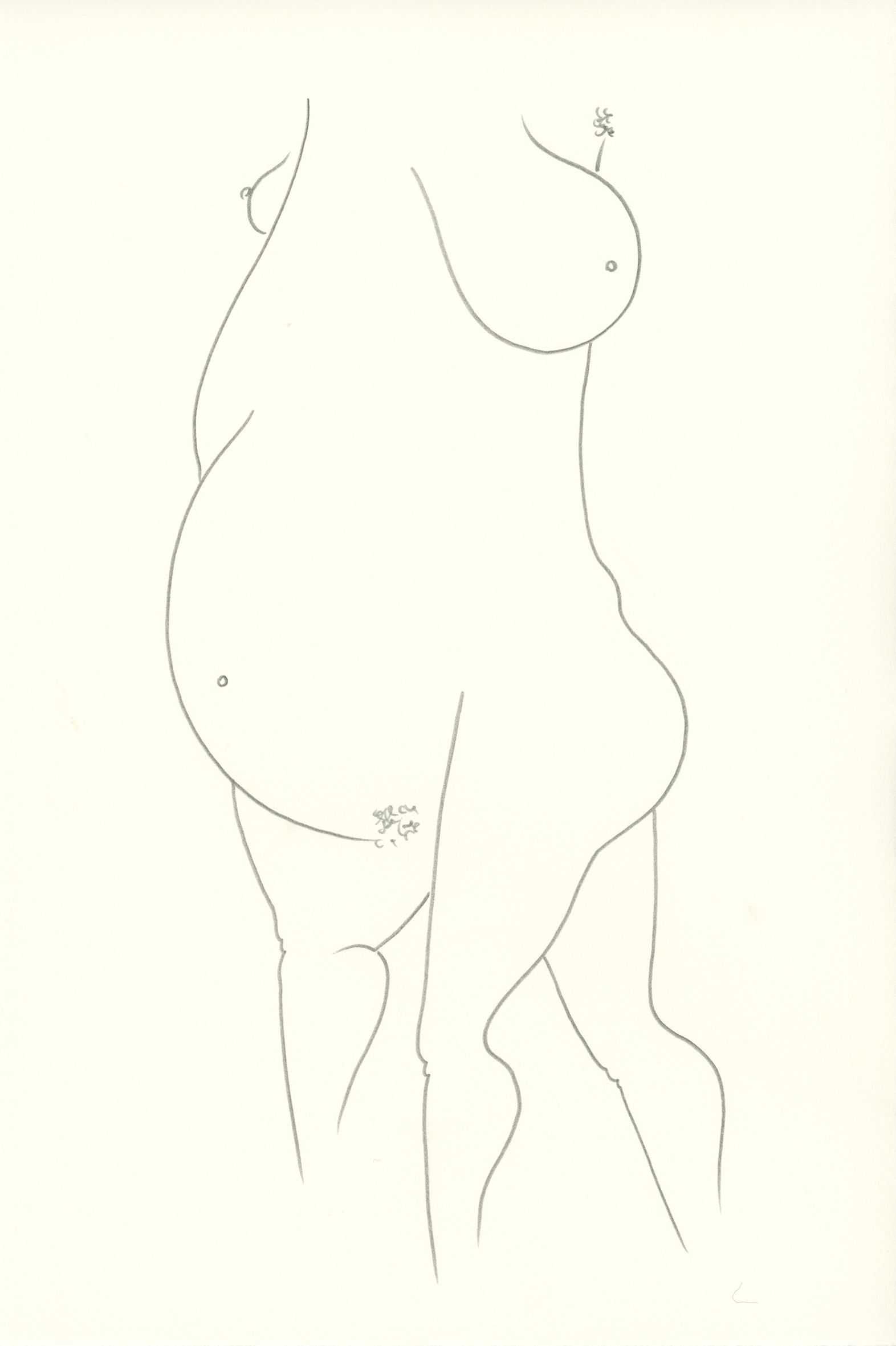 The Body Atlas