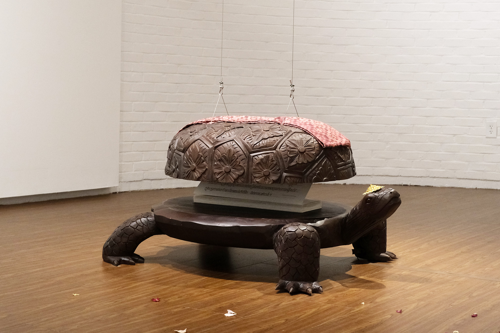 Cosmic Tortoise
