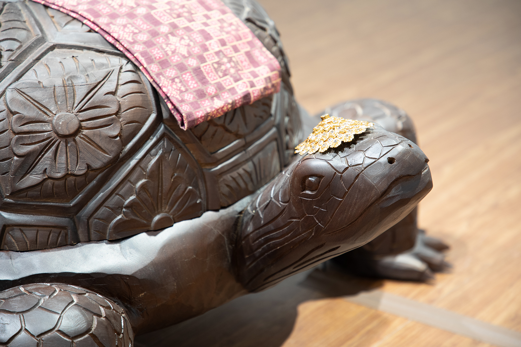 Cosmic Tortoise