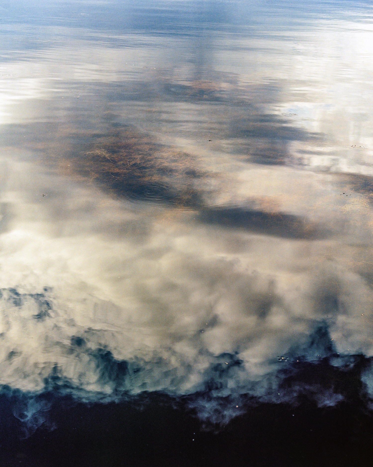 Familiar Water, 2025