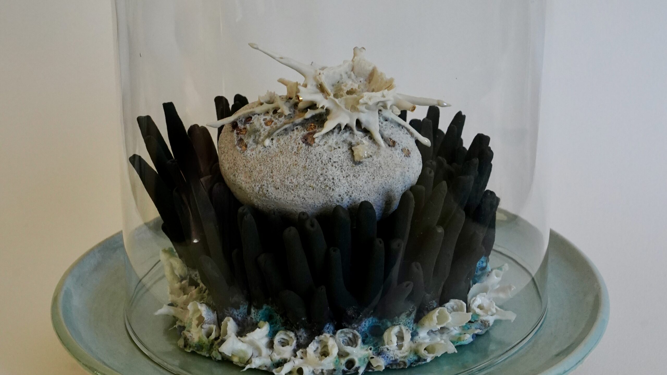 Coral To Cherish