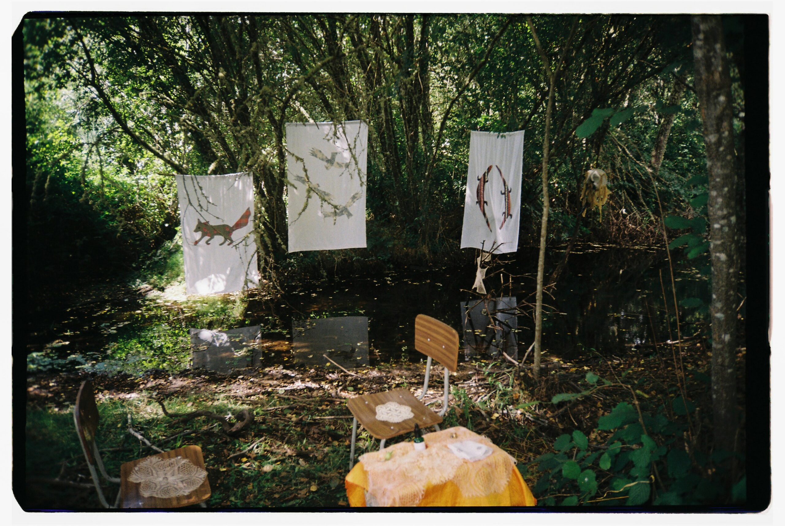 A Terra que Habito / The land I Inhabit