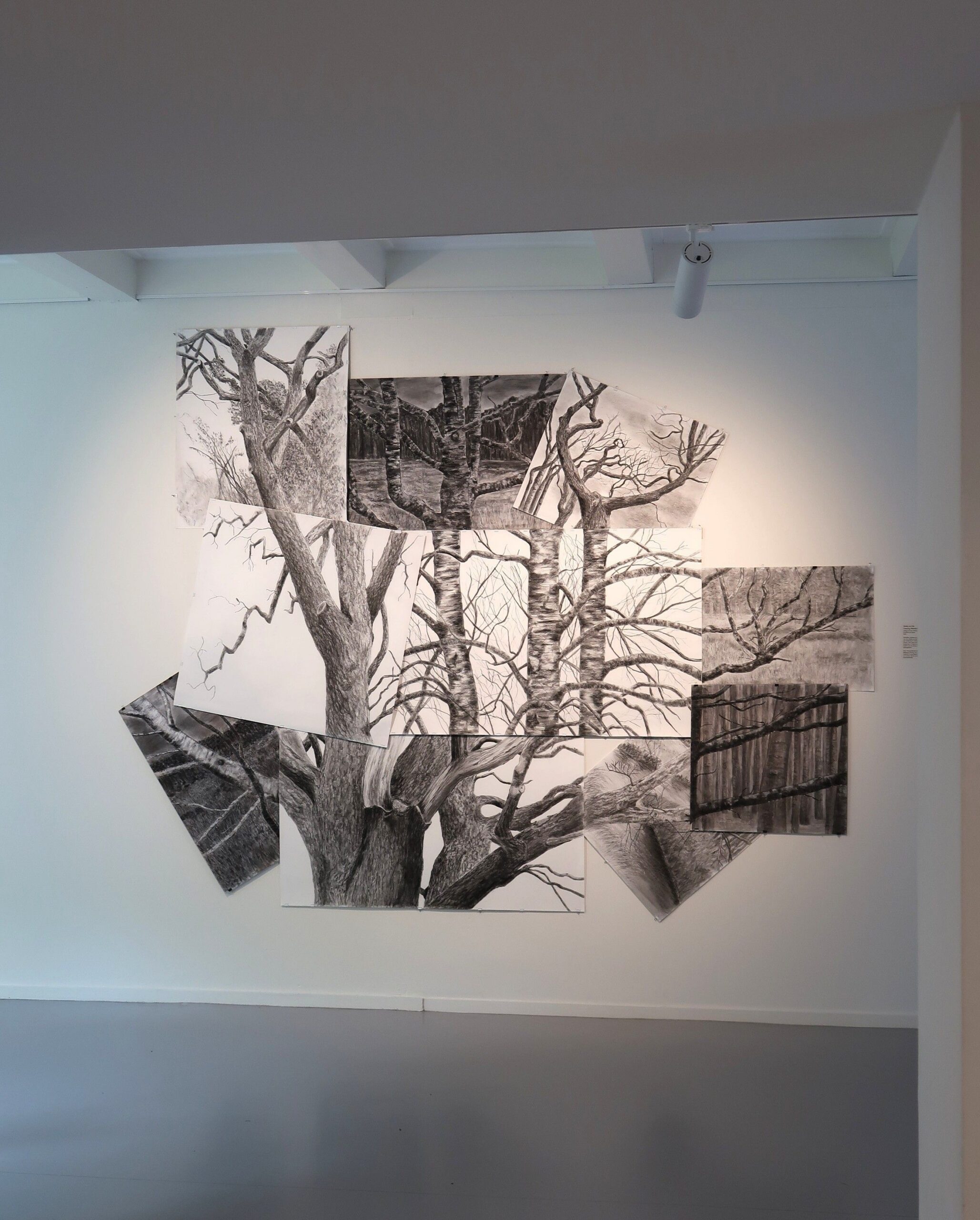 Tracing Westerwolde