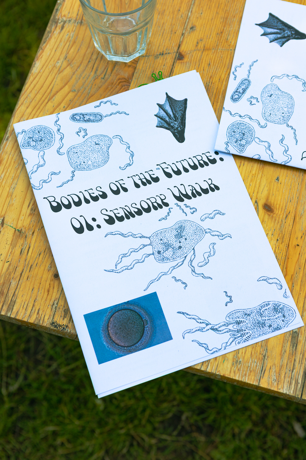 Bodies of the Future: 01: Sensory Walk (collective reading booklet)
