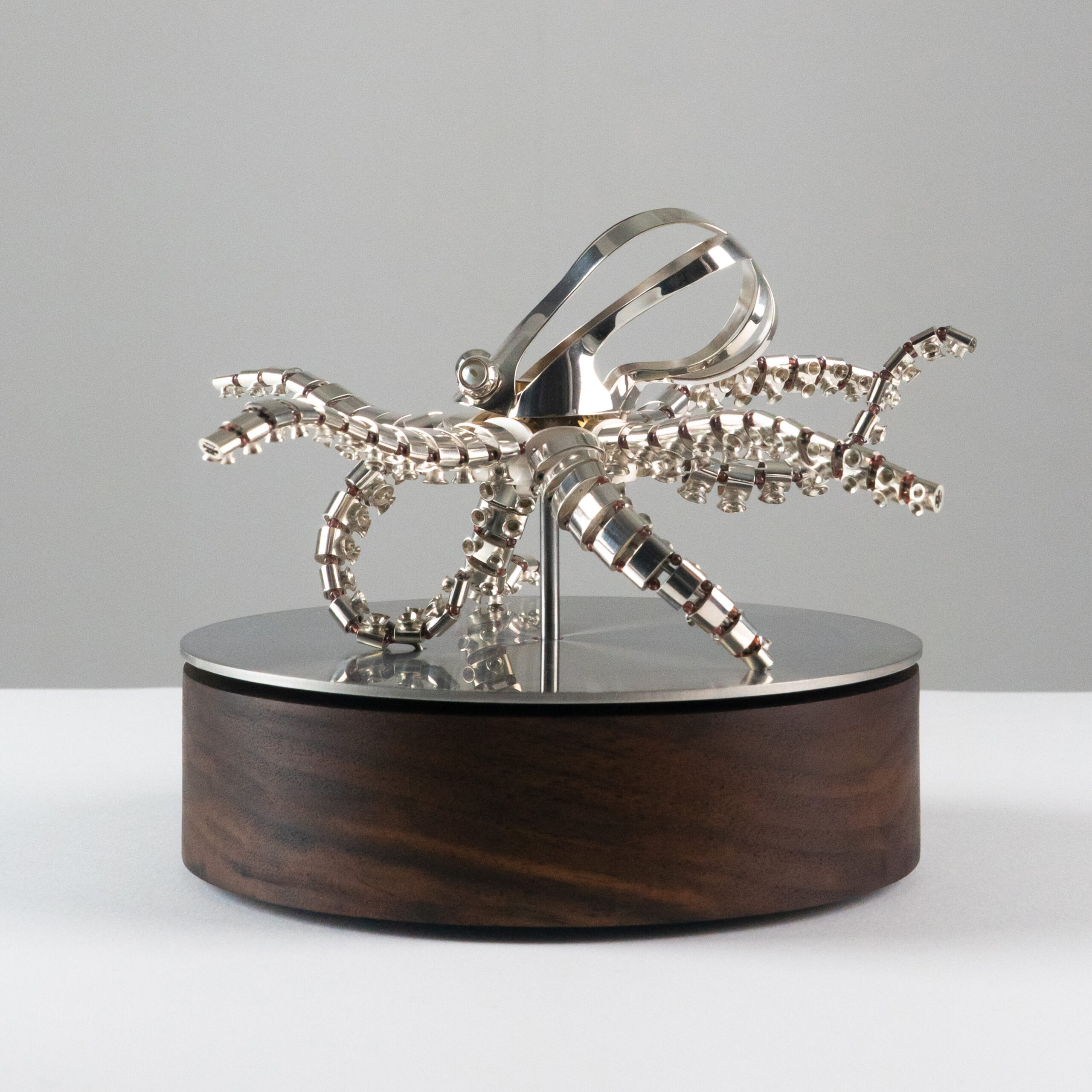 Octopus