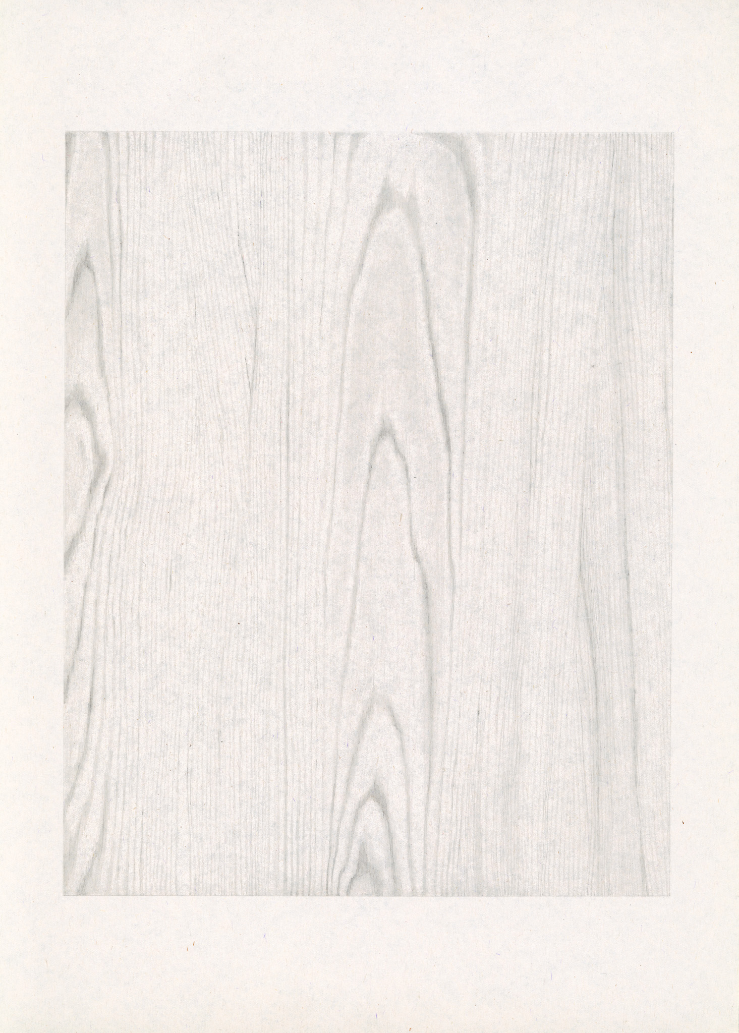 plain sawn poplar grain