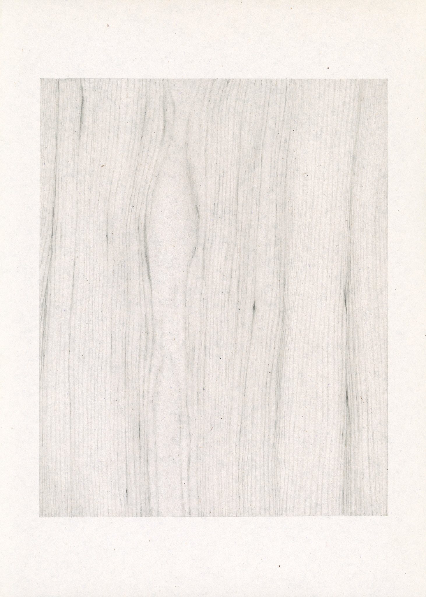 live sawn poplar grain