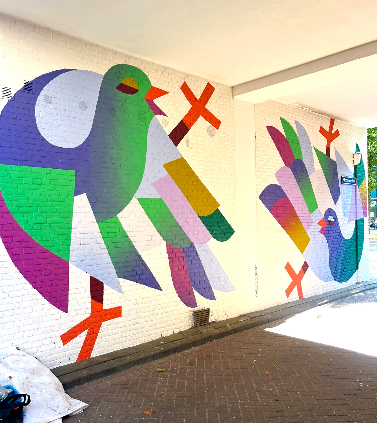 Pigeons' Mating Dance