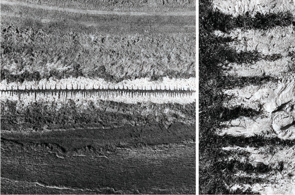 Landart - Sea Notation