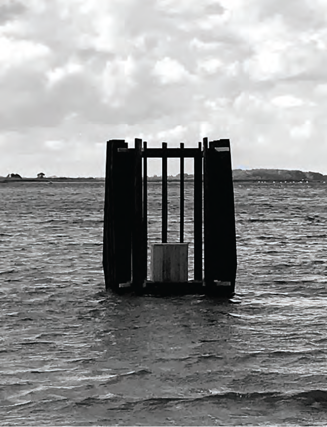 Wave Observatory