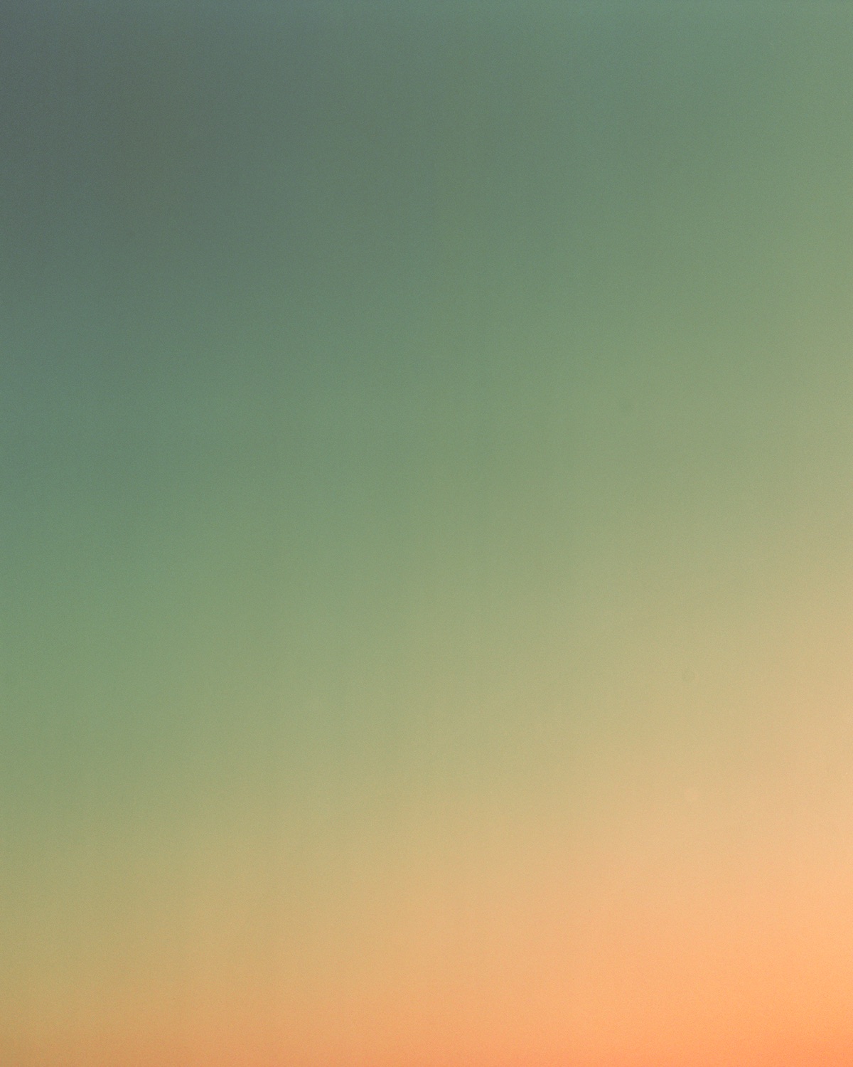While I am Here — No. 06.30.003 (2025)