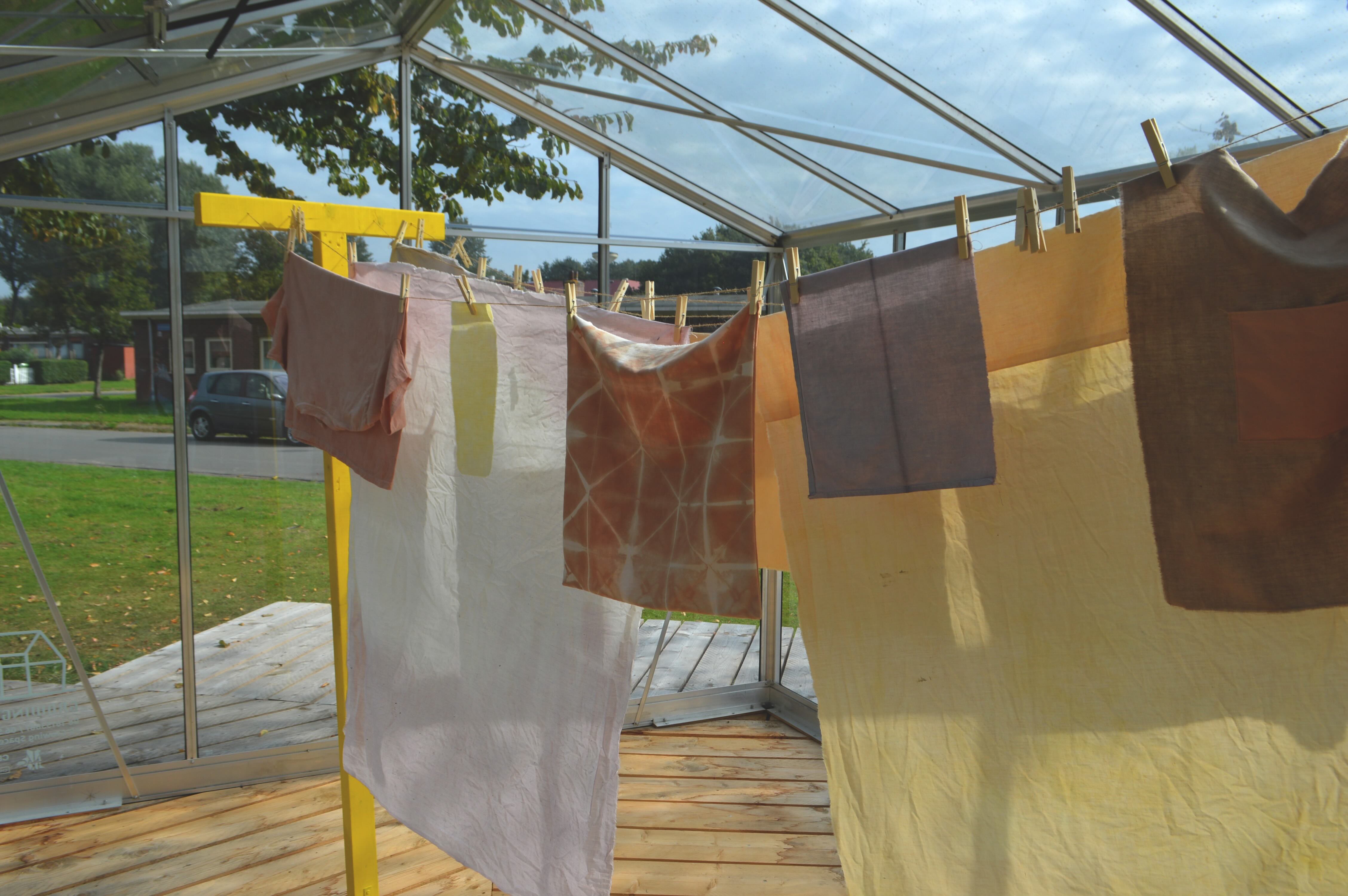 'Colours of Wielewaal' @ Growing Space (2020)