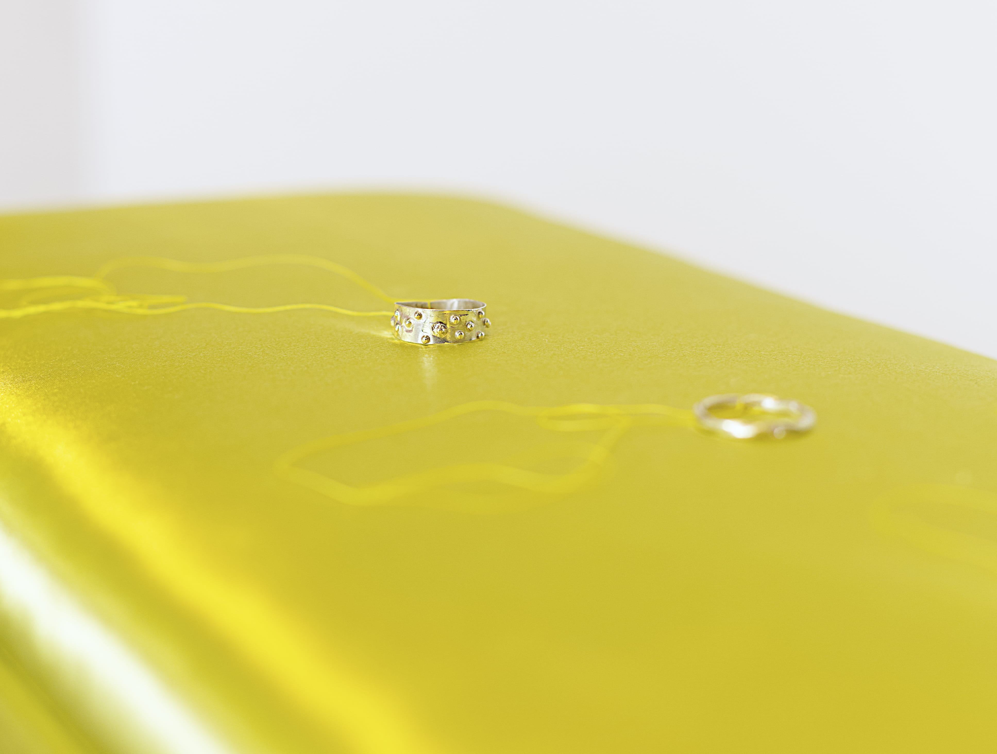 (Detail) Flush Set Memories of Stirring Lemnoideae (2026)