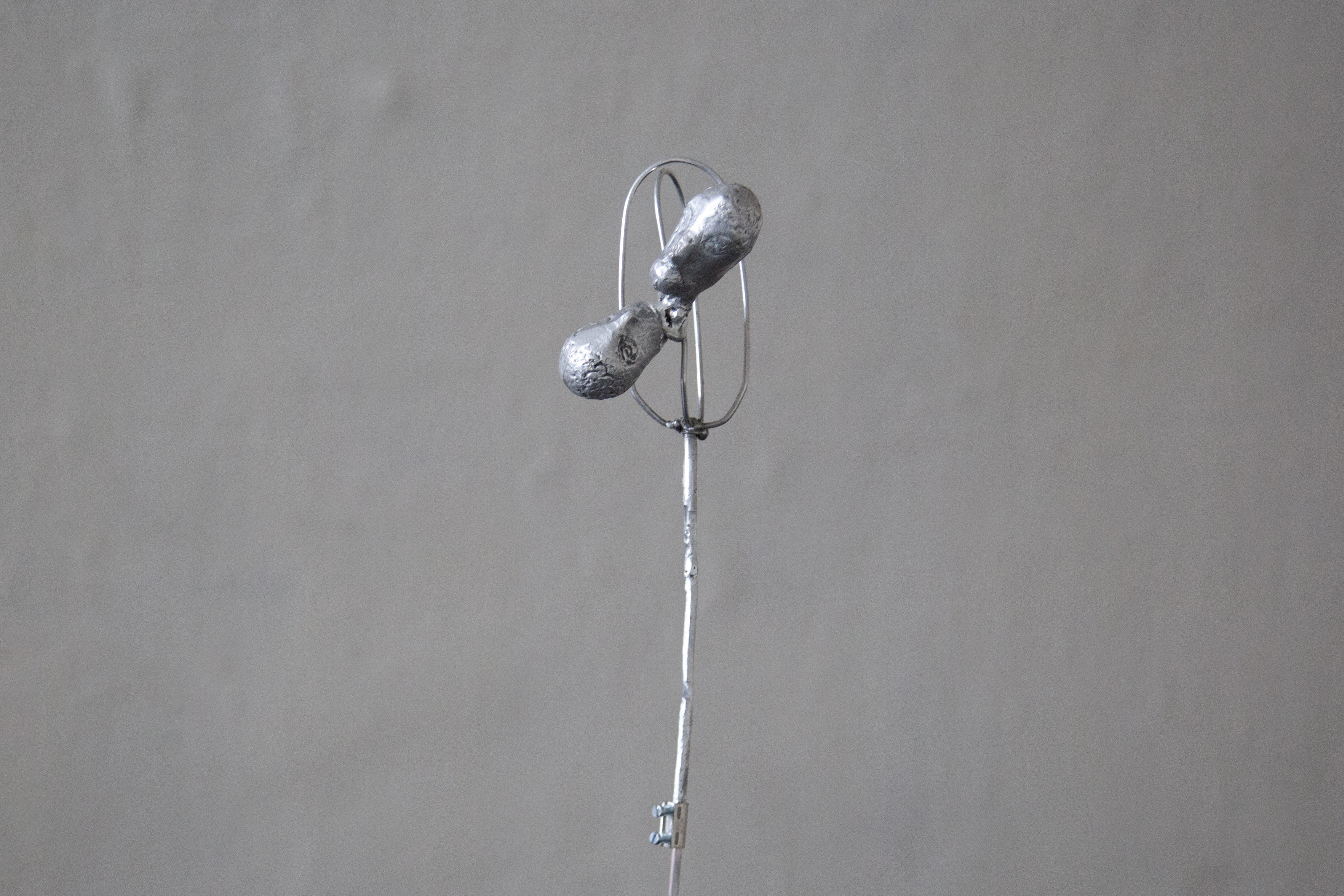 A whisk with two heads