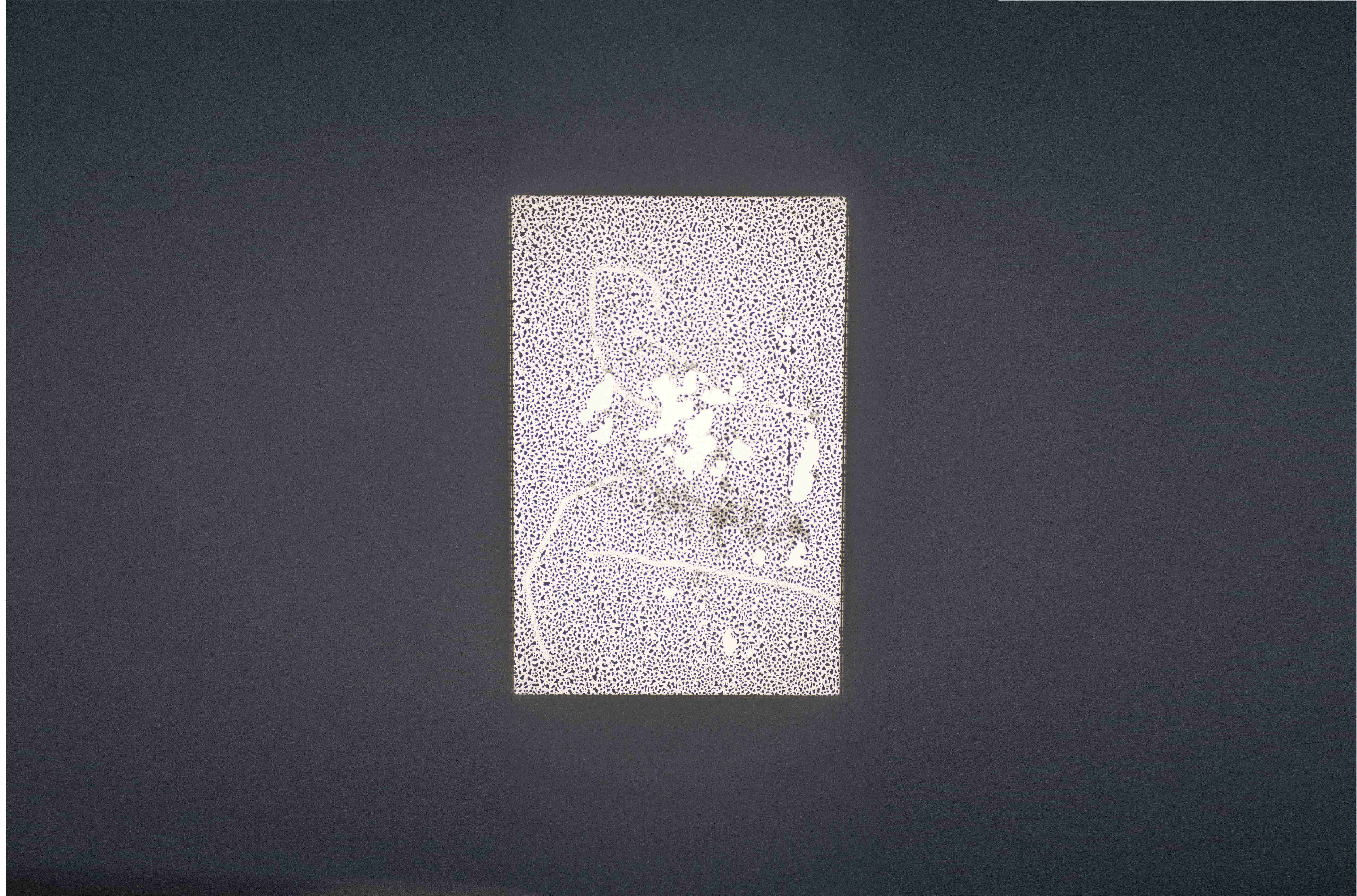 Projections from the Observatory, Takes on Transparency, A Tale of A Tub, Rotterdam, 2026