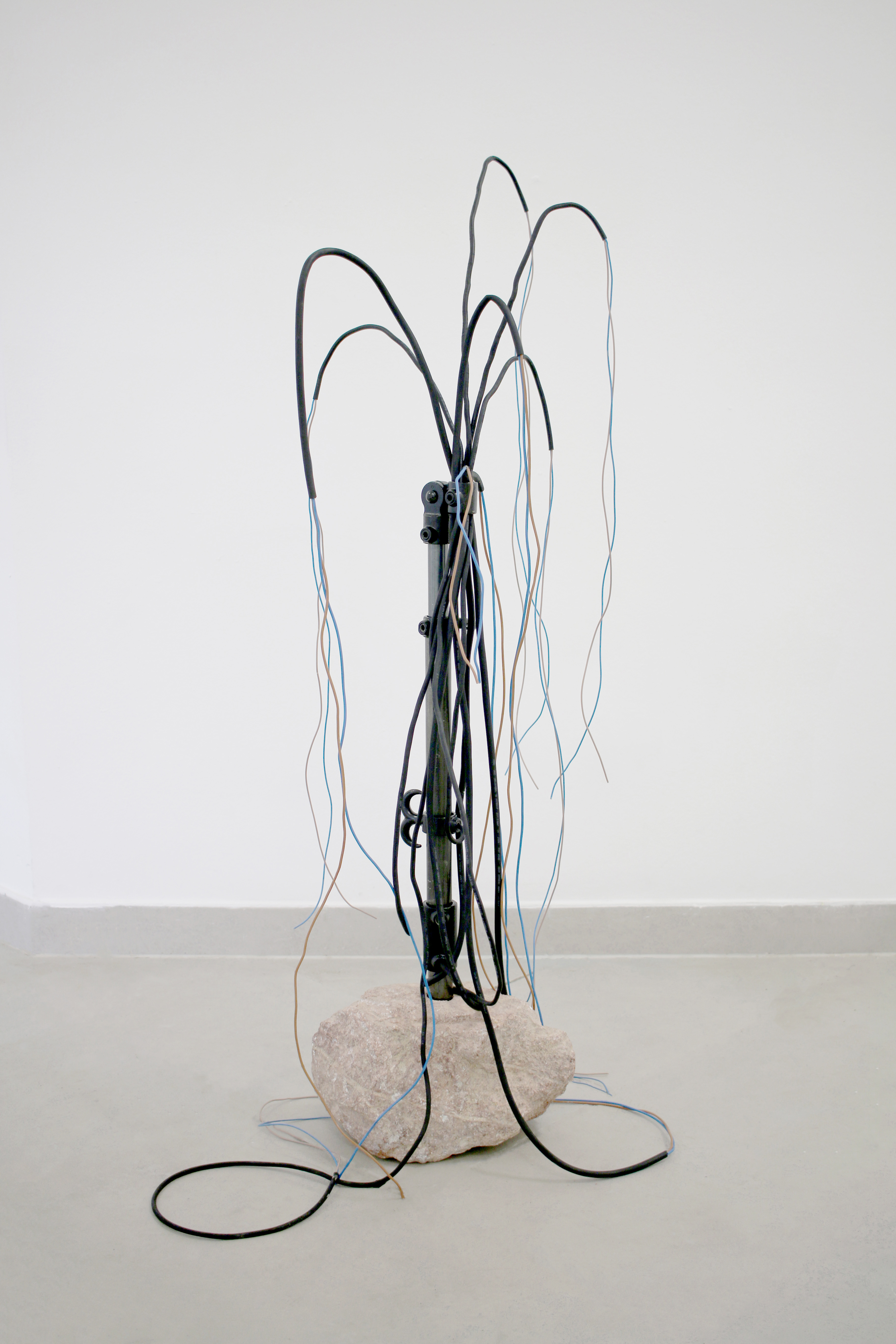 Soft Archive, 2026