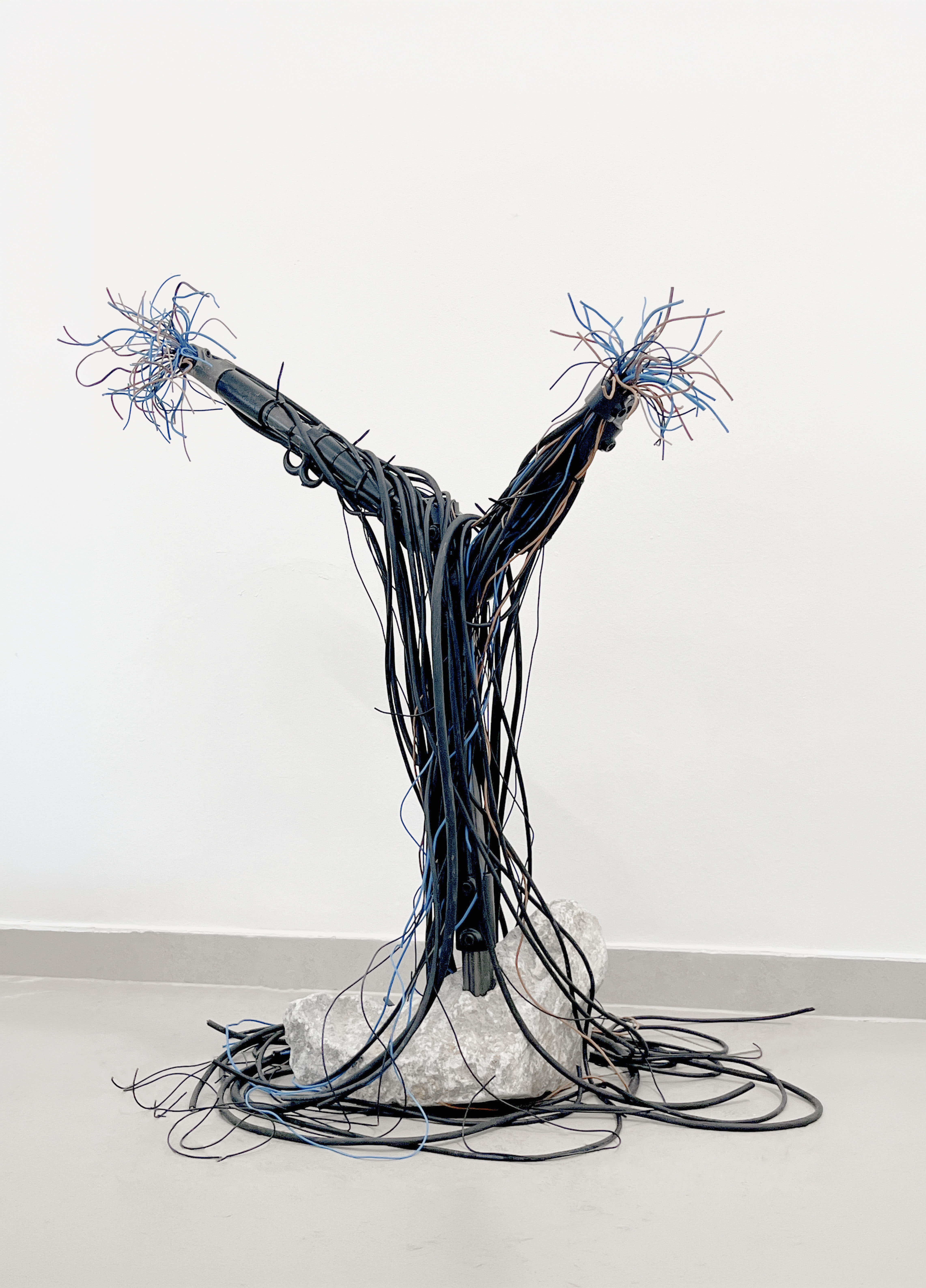 Soft Archive, 2026