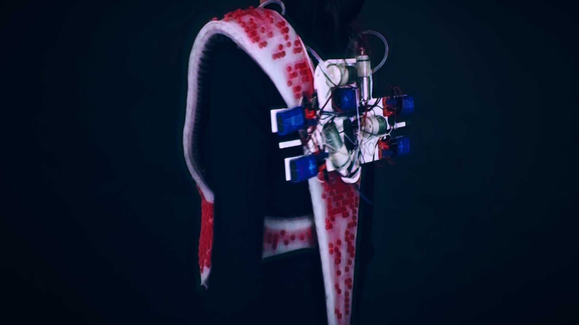 [Skin]