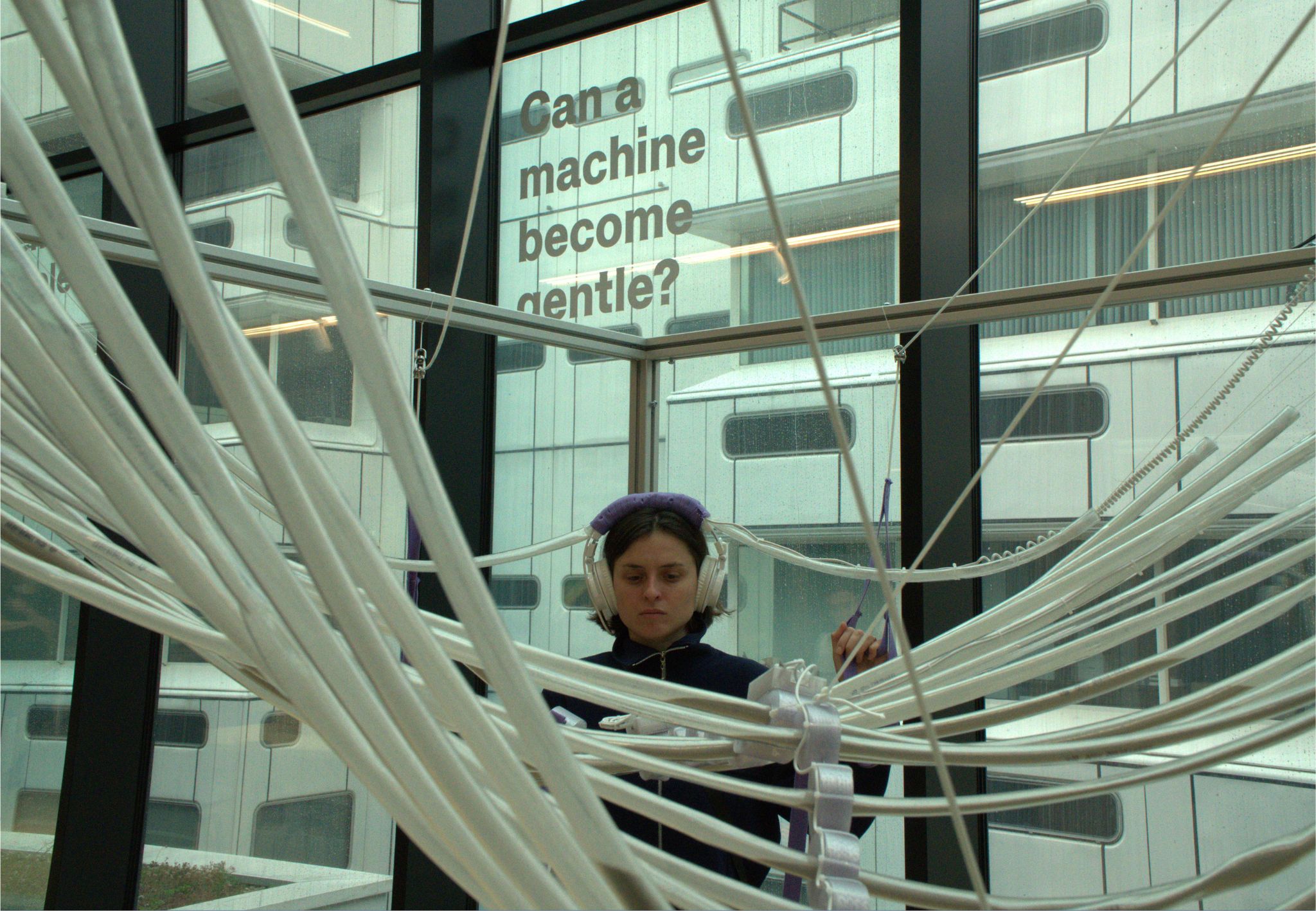 Story of a Gentle Machine