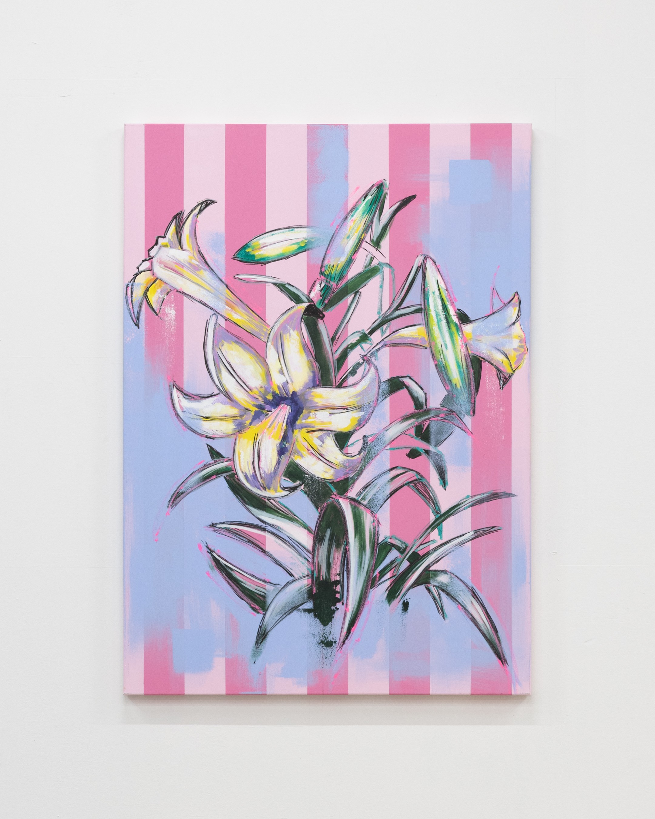 Lilium longiflorum