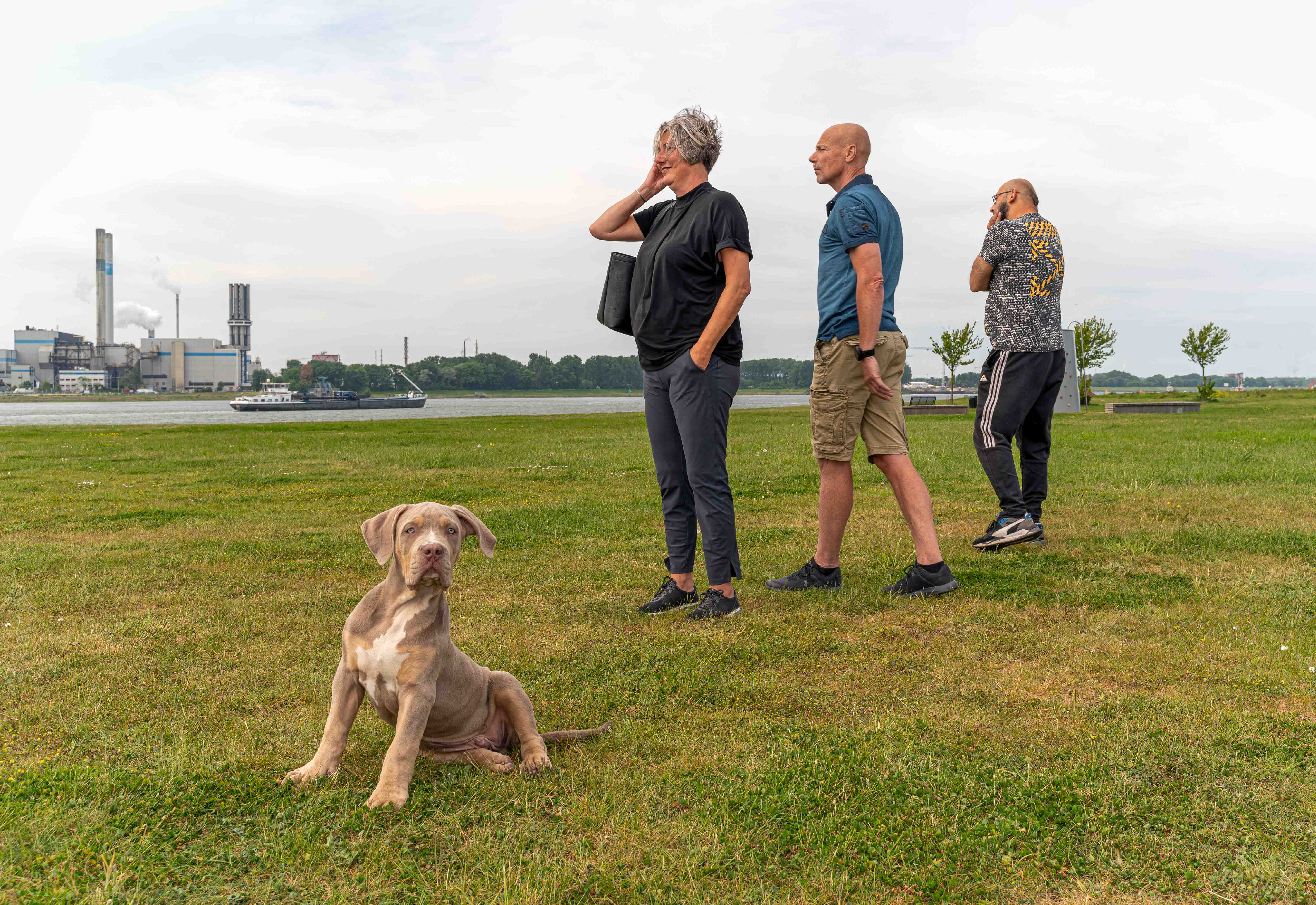 Opdracht 150 jaar Nieuwe Waterweg, 2022