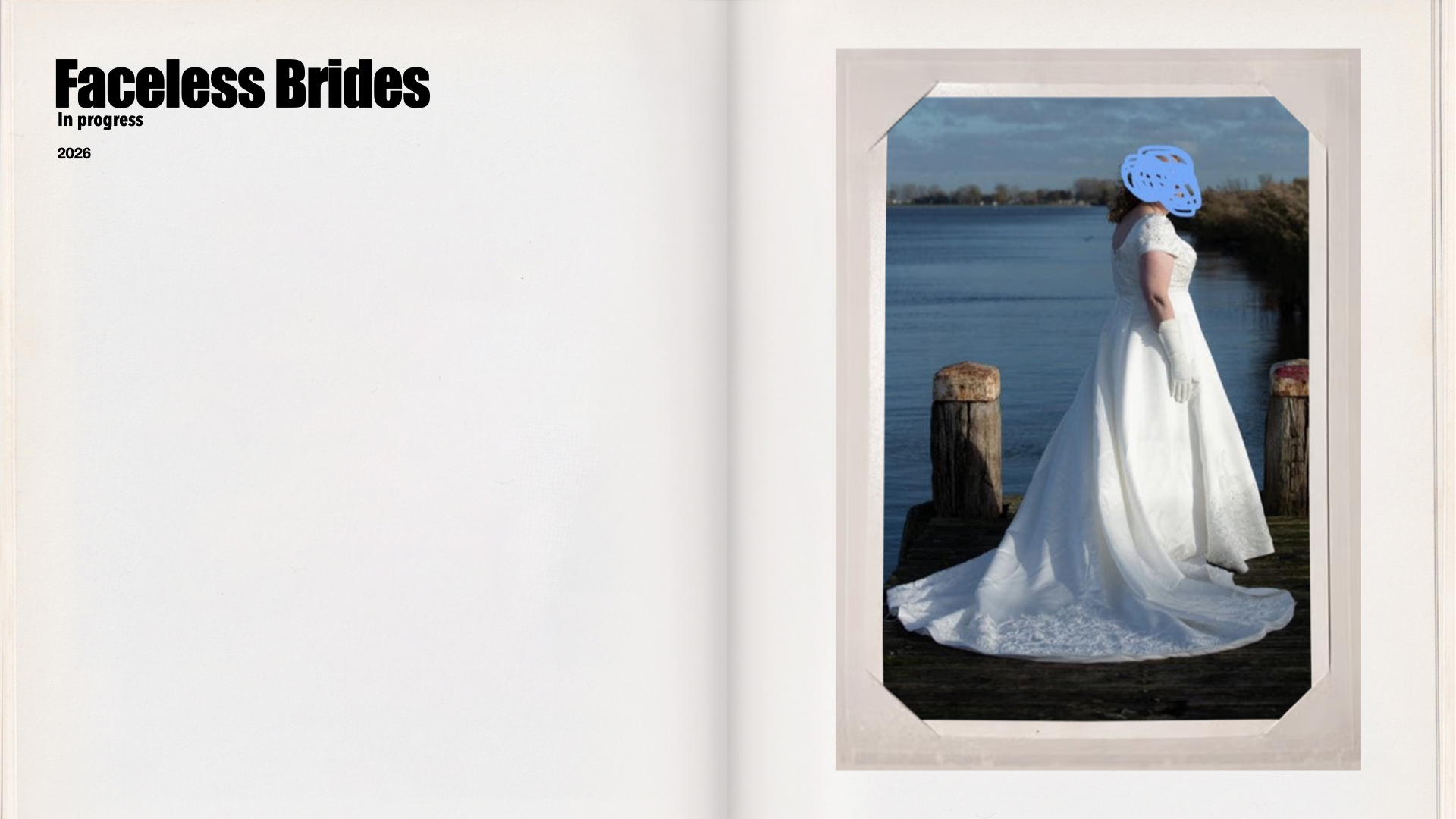Facles Brides