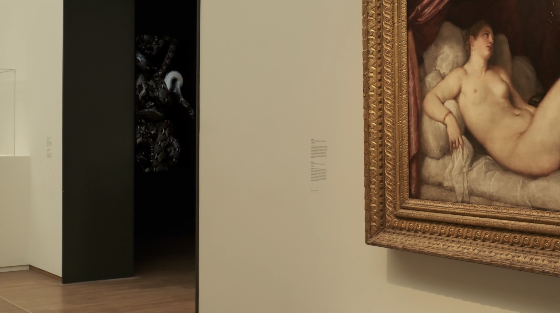 SPAWN in Rijksmuseum