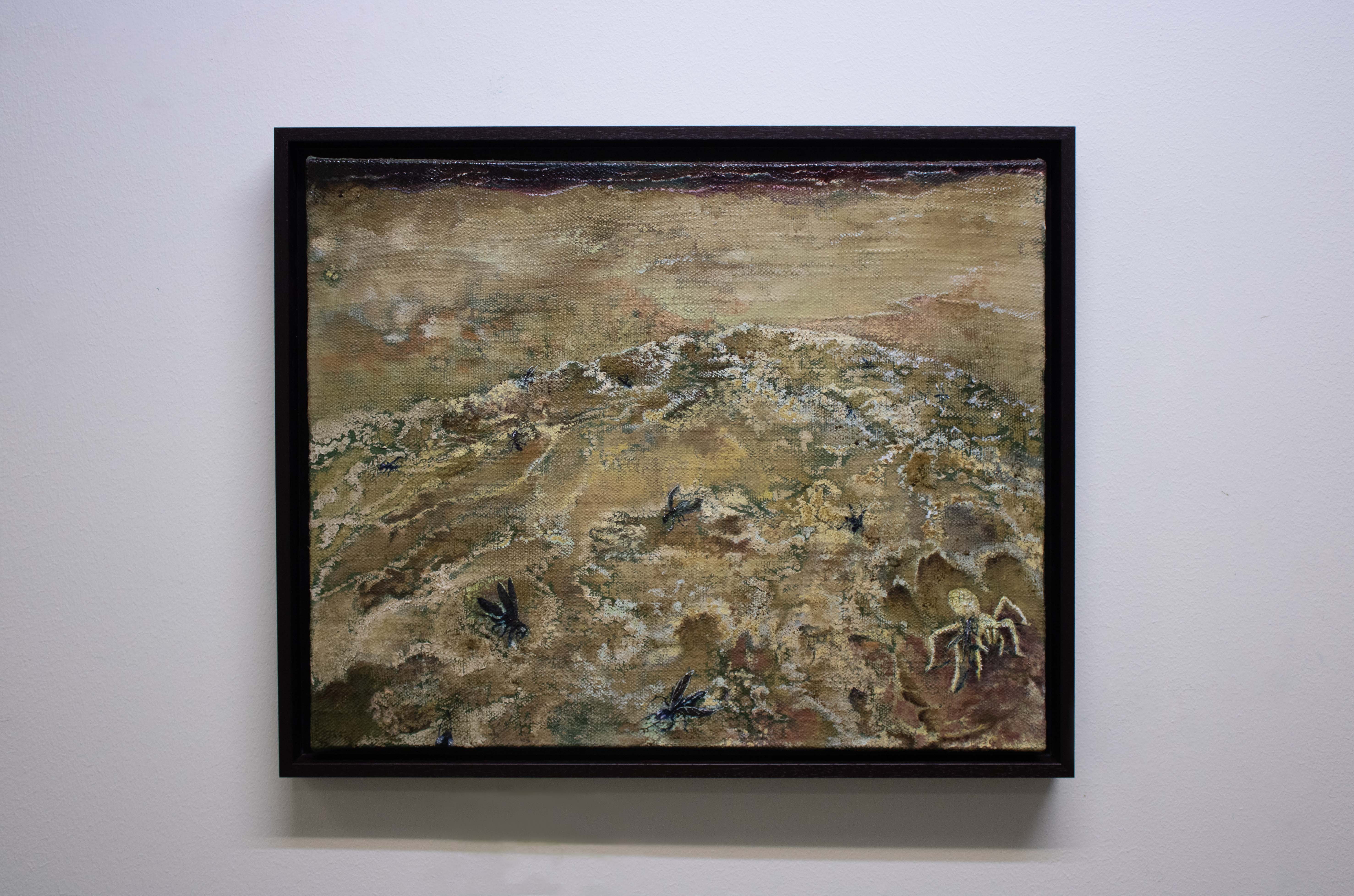 The sound of my life at noon, 2026, oil on cotton canvas, 40x 50 cm